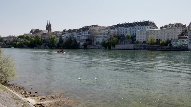 basel switzerland, 24 april. 2021: view of the rhine, red old speedboat sailing up the river, two swans in the foreground, basel old town with town hall in the background, sunshine during the day