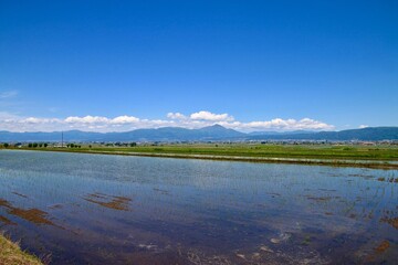 水田と磐梯山（福島県・会津美里町）