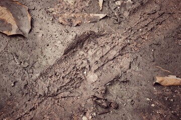 Wheel tracks on the soil road background or texture