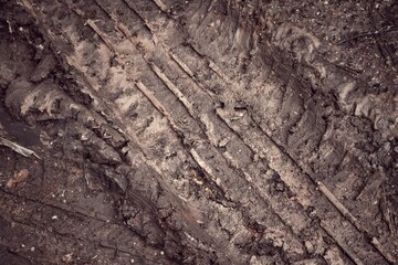 Wheel tracks on the soil road background or texture
