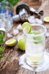 Making a margarita cocktail lime salt and mint leaves