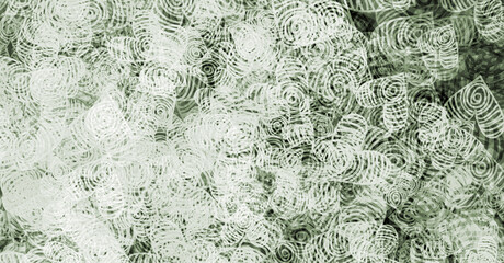 abstract colorful green emirald olive background bg