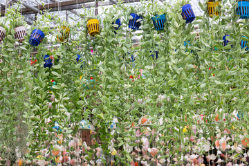 Bright spring leaves on the tree