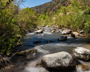 River and plants of rio clarillo national park in a sunny day