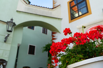 Fototapeta na wymiar Red geraniums blooming in flower Boxes outside of window sill of chateau castle courtyard with white and Europian wall building background.