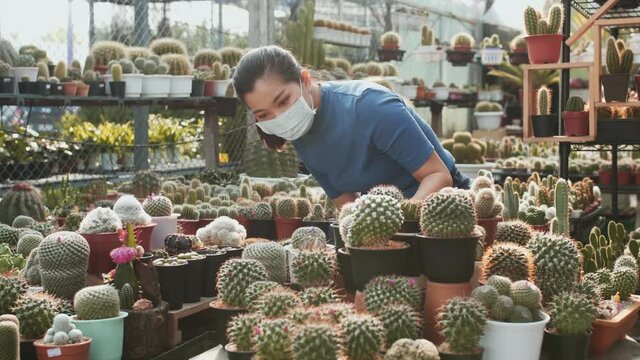 A masked Asian woman examines the cacti on a table in a plant nursery and picks up one pot. Slow motion