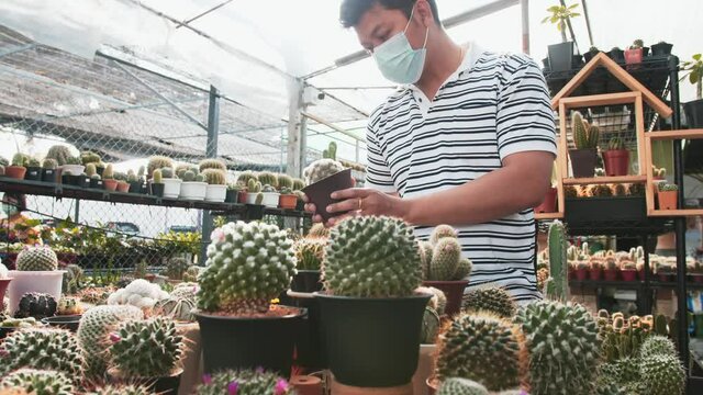 A masked man holds a potted cactus and examines it with the sunlight behind him in a greenhouse nursery in slow motion.