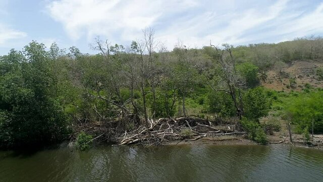 Shores of Soco river in Dominican Republic. Aerial backward