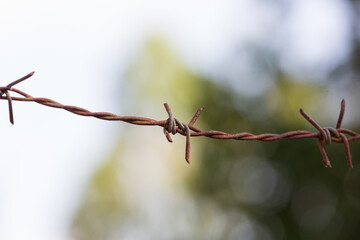 Close-up and shallow focus view of Barbed wire