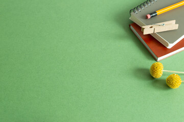 Notepad, pencil, wooden clip, dry flower on desk. green background. flat lay, top view, copy space. Work and study place