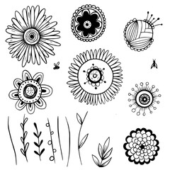 Big hand drawn collection of floral elements for your design. Vector illustration flowers, branches, leaves and insects