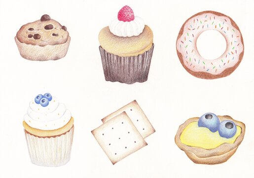 Chocolate cookies, raspberry cupcakes, donut, blueberry cupcake, cracker and  blueberry tart drawing with color pencil. Hand drawing.