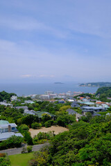 Obraz premium 神奈川県逗子市の披露山公園