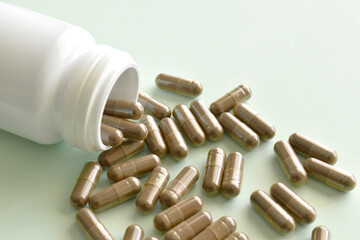 Herb supplement capsules spilling out of a plastic bottle.  Lingzhi mushroom or Reishi mushroom supplement capsules with copy space on the right side. Traditional Chinese medicine. 