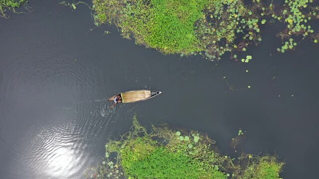 Aerial view of a small fishing boat sailing in a swamp river inlet on waterlilies farm and culture in Sirajdikhan township, Dhaka, Bangladesh.
