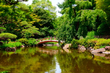 Fototapeta na wymiar 日本庭園の池に架かった太鼓橋