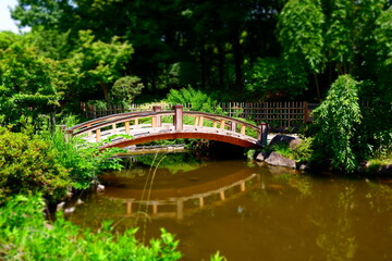 日本庭園の池に架かった太鼓橋