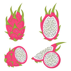Set of fresh juicy dragon fruits with slices vector illustration