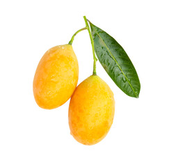 Maprang Fresh ripe organic sweet yellow marian plum or plum mango on white isolated background with clipping path.
