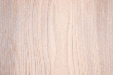White wood texture background. Elegant wood grain facades.