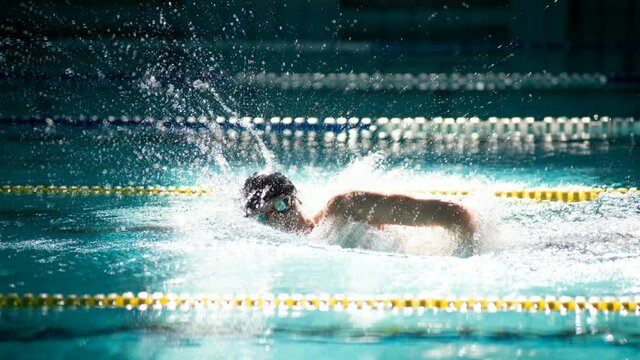 Swimmer swims freestyle in the pool in beautiful sunlight. Cinemagraph.