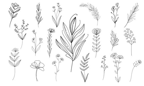 Free Free 111 Wildflower Svg SVG PNG EPS DXF File