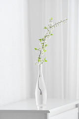 Vase with beautiful blooming branch on table against light background