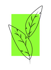 The outlines of the leaves on a green background. Vector illustration.