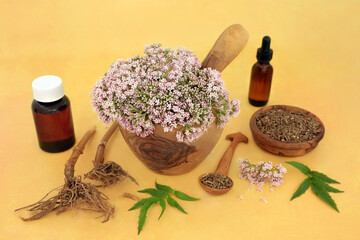 Valerian herbal medicine with flowers and root for natural remedies. Used as a tranquillizer to...