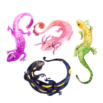 Watercolor illustrations of lizards, reptiles in green, pink, black with yellow spots, purple. Salamanders, animal symbols,set hand drawn in watercolor, isolated, design element for patterns