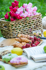 Outdoors picnic in a lush green park with a tasty croissant, fruits, donuts and wine on grass. Summer picnic on the blanket.