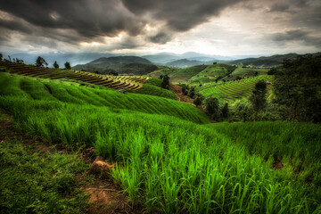 Beautiful Landscape terraced paddy fields in Pa Pong Pieng, Mae Chaem, Chiang Mai, Thailand
