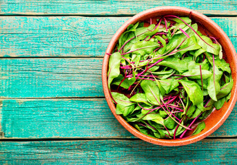 Fresh chard leaves,salad leaves