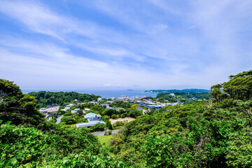 Fototapeta na wymiar 神奈川県逗子市の披露山公園