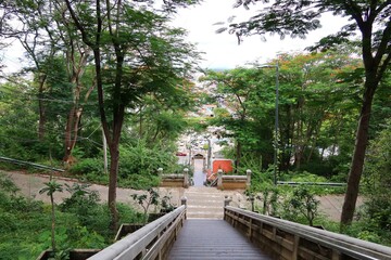 bridge in the park