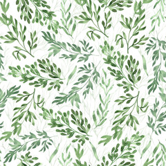 Watercolor seamless pattern  herbs and  leaves. Hand painted illustration on white. Great for fabrics, wrapping papers, wallpapers, covers. Beautiful textile print