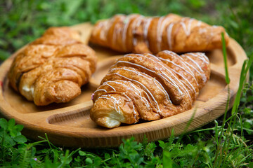 Outdoors picnic in a lush green park with a tasty croissant, fruits, donuts and wine on grass. Summer picnic on the blanket.