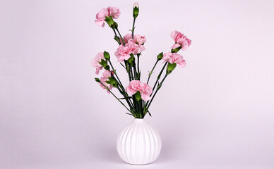 Pink carnations in a white round vase. Flowers for interior decoration