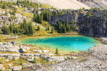 lake with water in Emerald color. Photo taken in a sunny morning along Alpine Loop trail near Lake Oesa, Yoho National park