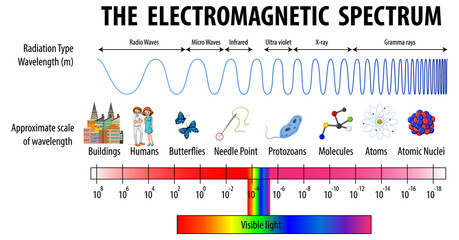 Science Electromagnetic Spectrum diagram - obrazy, fototapety, plakaty