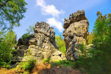 Felsen im Zittauer Gebirge - rocks in Zittau Mountains
