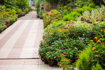Obraz premium flowers in the garden