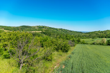 Mount Fruska Gora. Beautiful arable land in Vojvodina, orchards and fertile agricultural soil near the Fruska Gora, Serbia