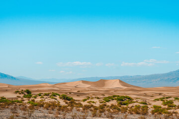 Sand Dunes in Death Valley