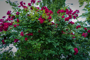 beautiful architecture and landscapes