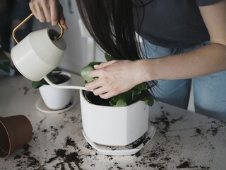 Semilya, mom, dad and children transplant flowers together! lifestyle, home photo session