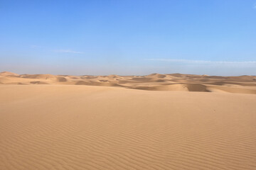 Fototapeta na wymiar sand dune landscape of the namib desert, namibia
