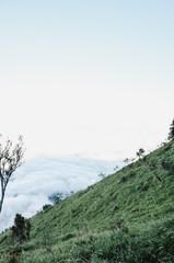 view from the hill