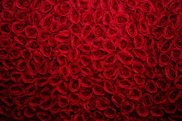 Decoration of many red rose flowers background