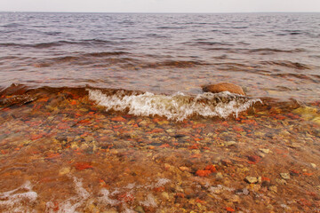a clear transparent wave rushing onto the shore